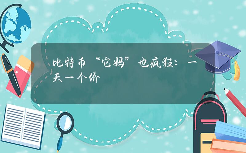 比特币“它妈”也疯狂：一天一个价